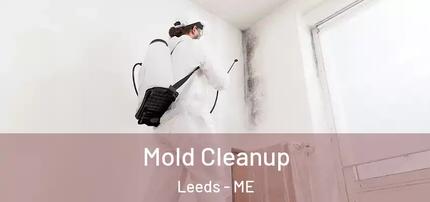  Mold Cleanup Leeds - ME
