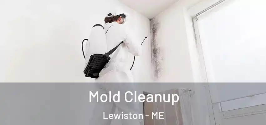  Mold Cleanup Lewiston - ME
