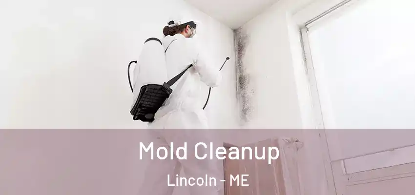  Mold Cleanup Lincoln - ME