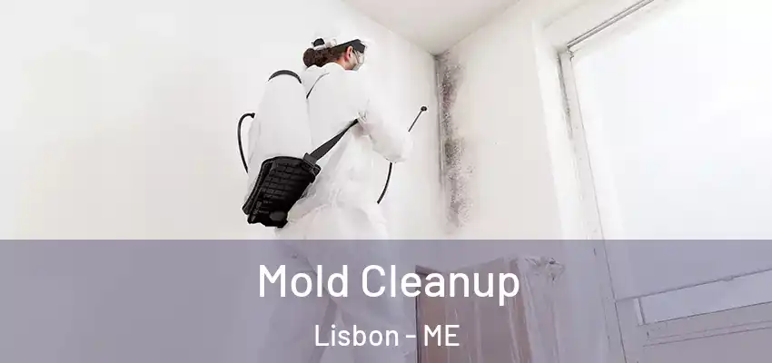 Mold Cleanup Lisbon - ME