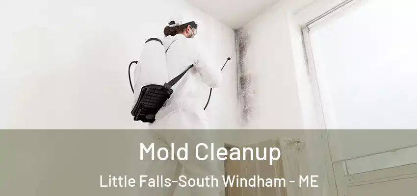  Mold Cleanup Little Falls-South Windham - ME