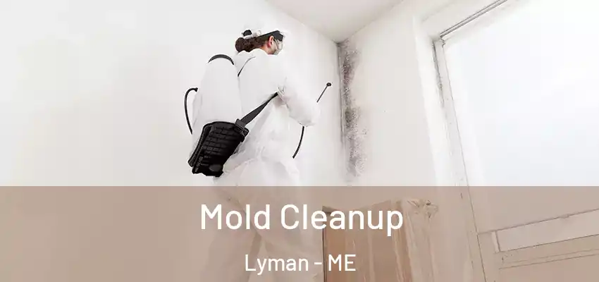  Mold Cleanup Lyman - ME