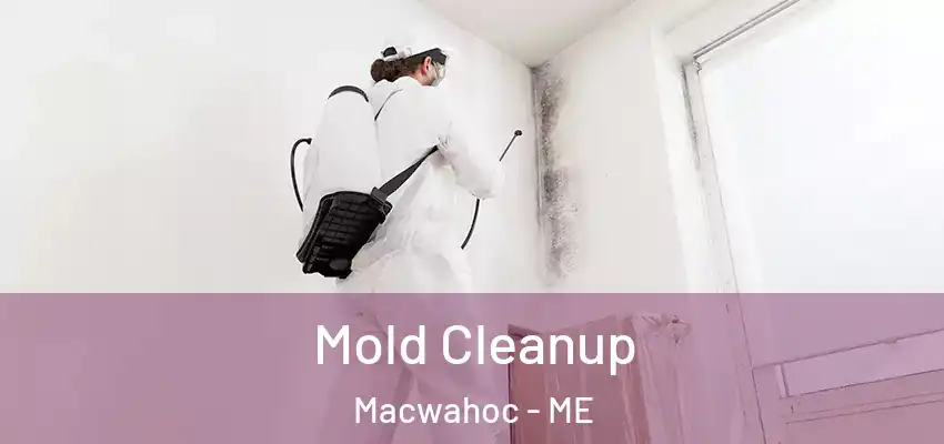  Mold Cleanup Macwahoc - ME