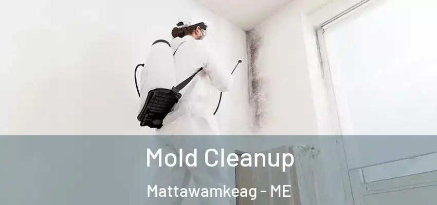 Mold Cleanup Mattawamkeag - ME