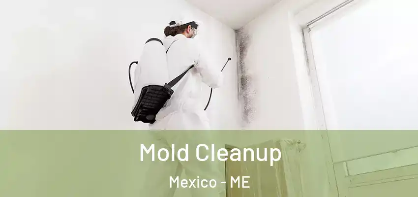  Mold Cleanup Mexico - ME