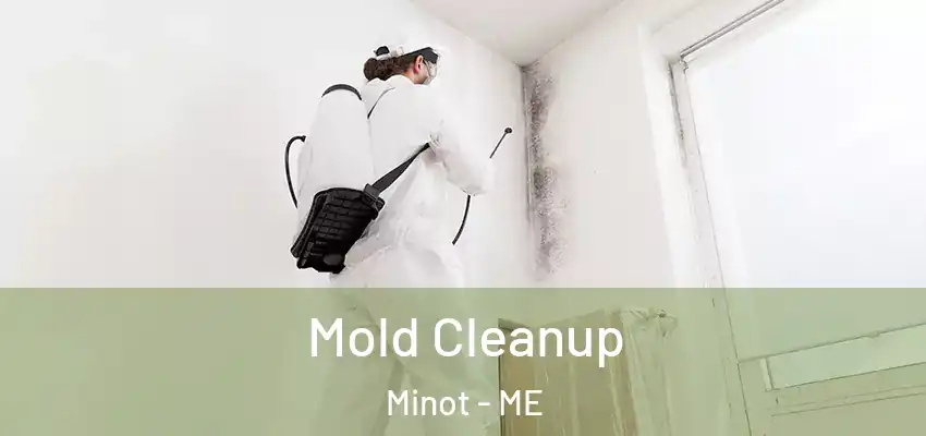  Mold Cleanup Minot - ME