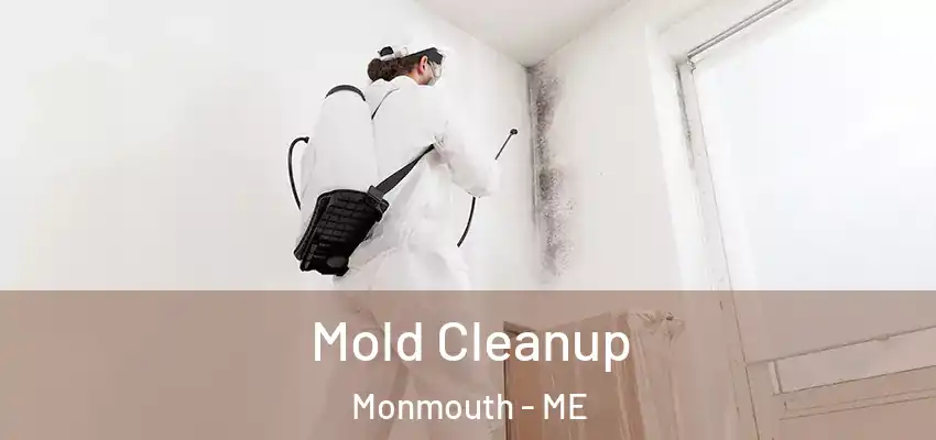 Mold Cleanup Monmouth - ME