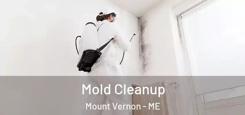  Mold Cleanup Mount Vernon - ME