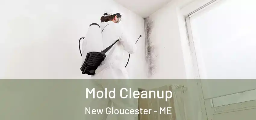  Mold Cleanup New Gloucester - ME