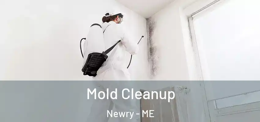  Mold Cleanup Newry - ME