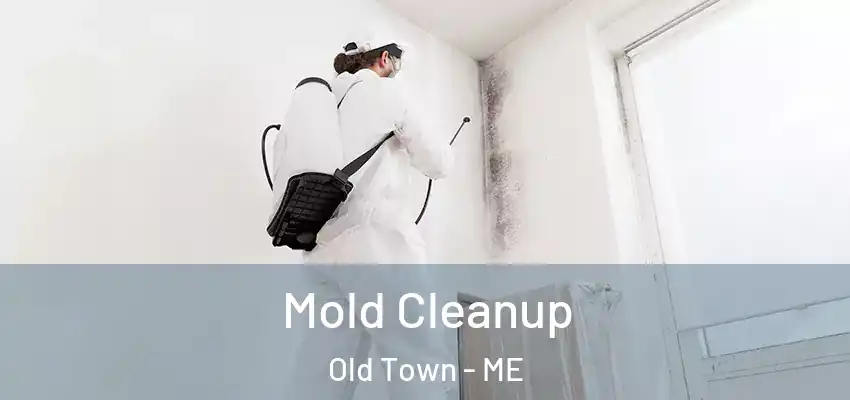  Mold Cleanup Old Town - ME