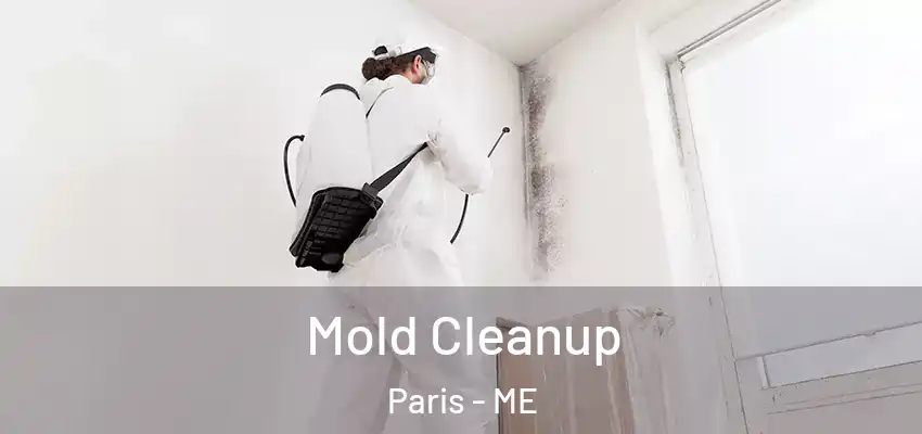  Mold Cleanup Paris - ME
