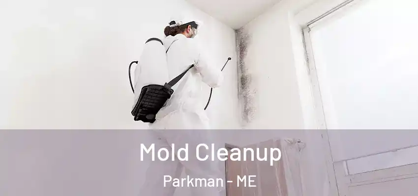 Mold Cleanup Parkman - ME