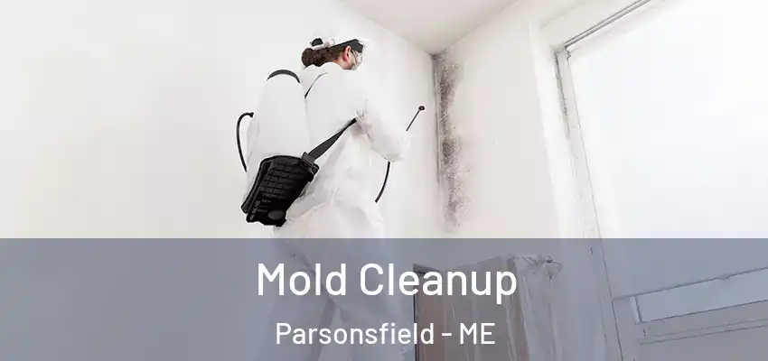  Mold Cleanup Parsonsfield - ME