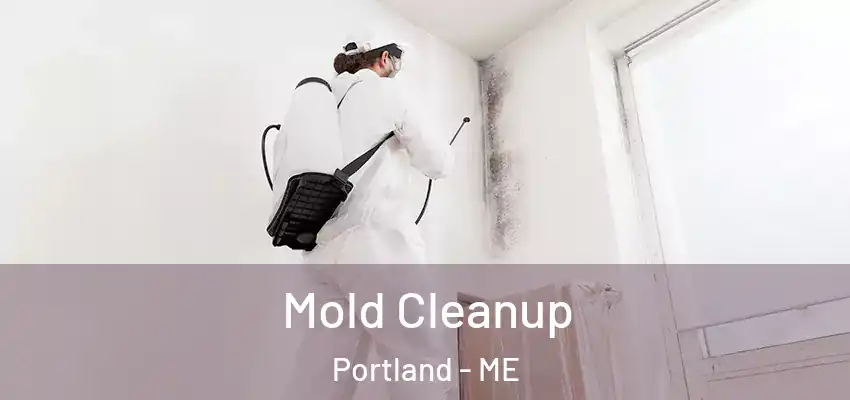Mold Cleanup Portland - ME