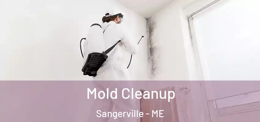  Mold Cleanup Sangerville - ME
