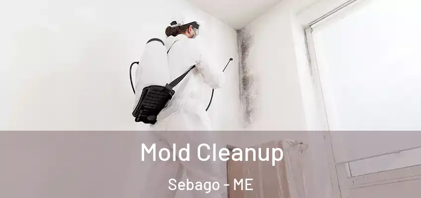  Mold Cleanup Sebago - ME