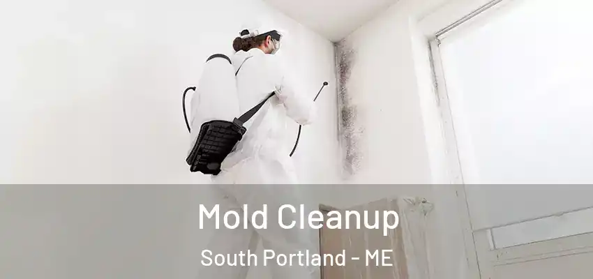  Mold Cleanup South Portland - ME
