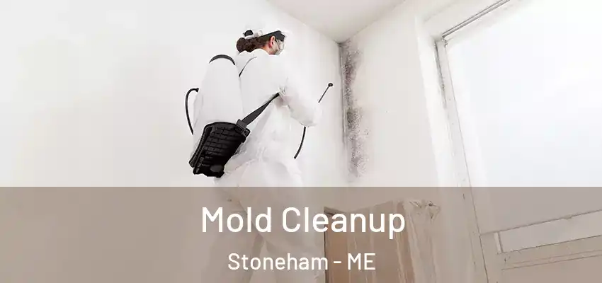 Mold Cleanup Stoneham - ME