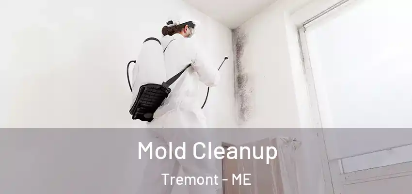  Mold Cleanup Tremont - ME
