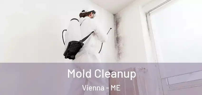  Mold Cleanup Vienna - ME