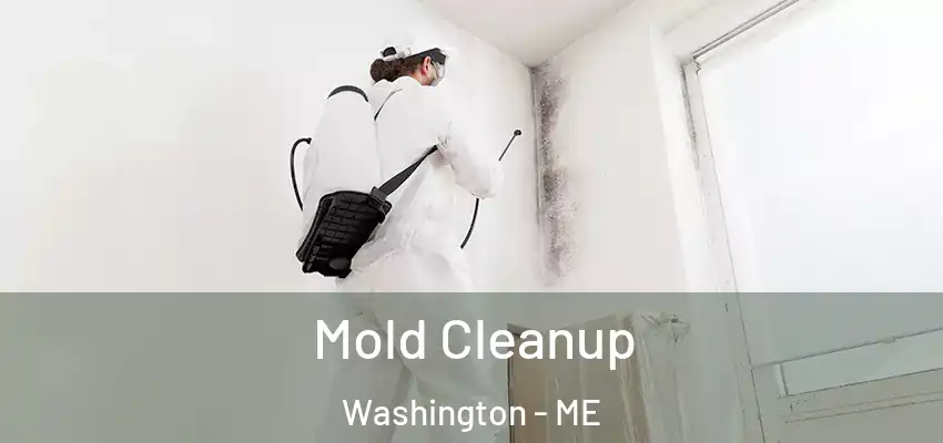  Mold Cleanup Washington - ME