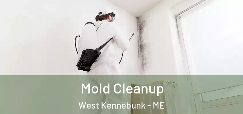Mold Cleanup West Kennebunk - ME