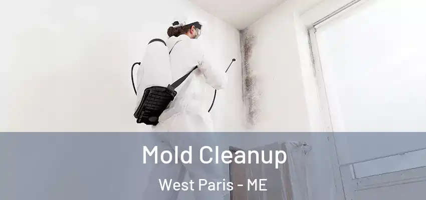 Mold Cleanup West Paris - ME
