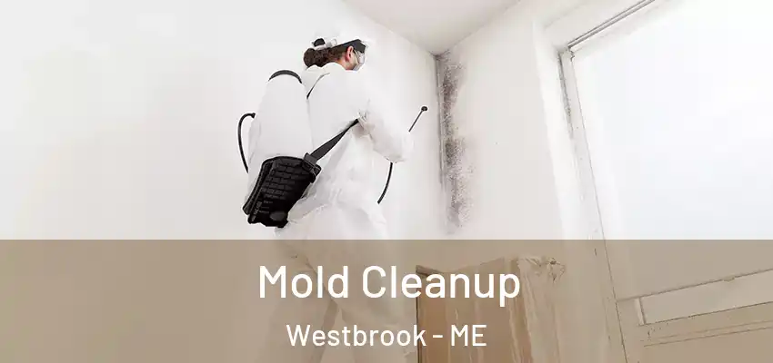  Mold Cleanup Westbrook - ME