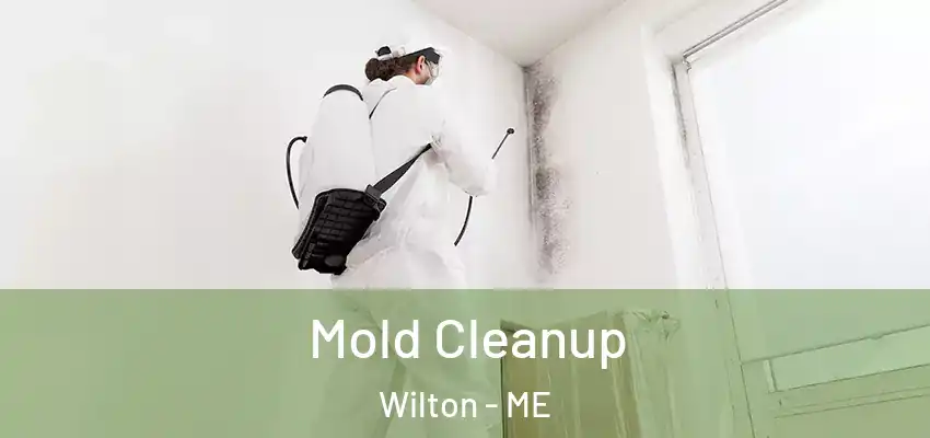  Mold Cleanup Wilton - ME