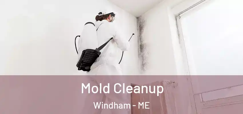 Mold Cleanup Windham - ME