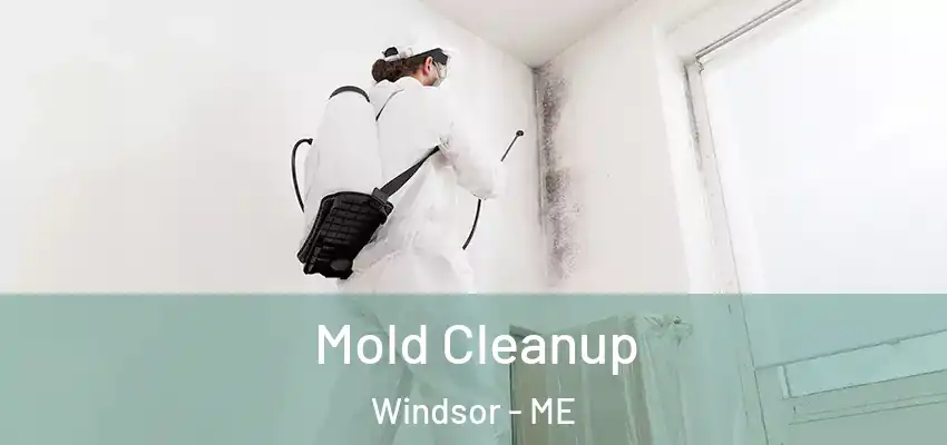 Mold Cleanup Windsor - ME