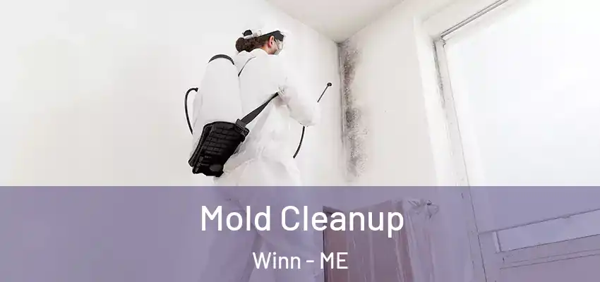 Mold Cleanup Winn - ME