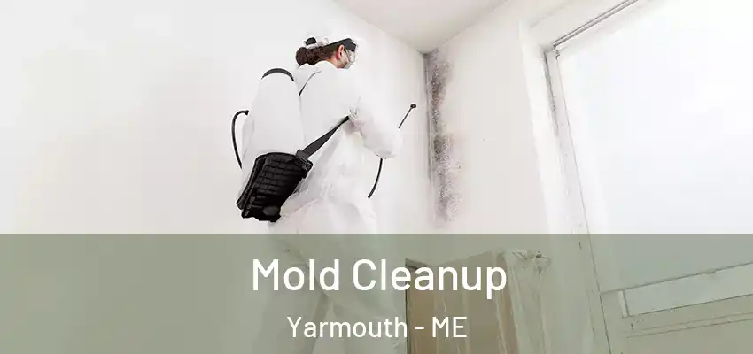 Mold Cleanup Yarmouth - ME