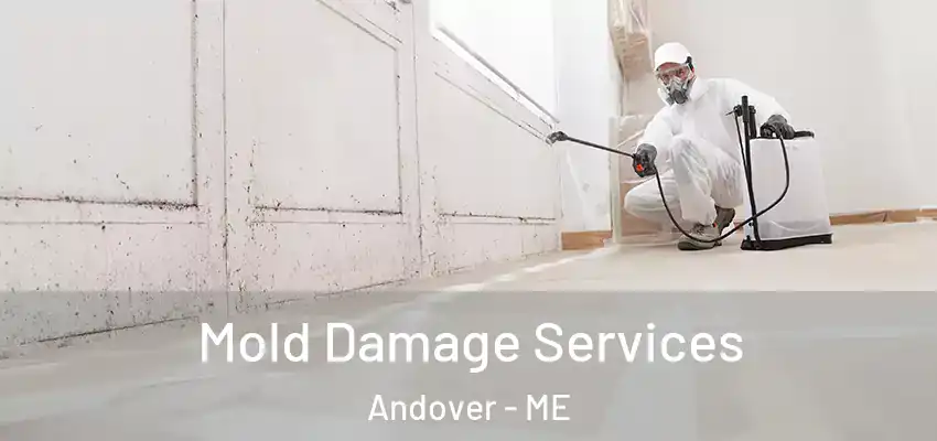  Mold Damage Services Andover - ME