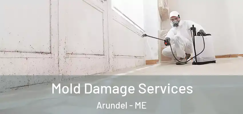  Mold Damage Services Arundel - ME