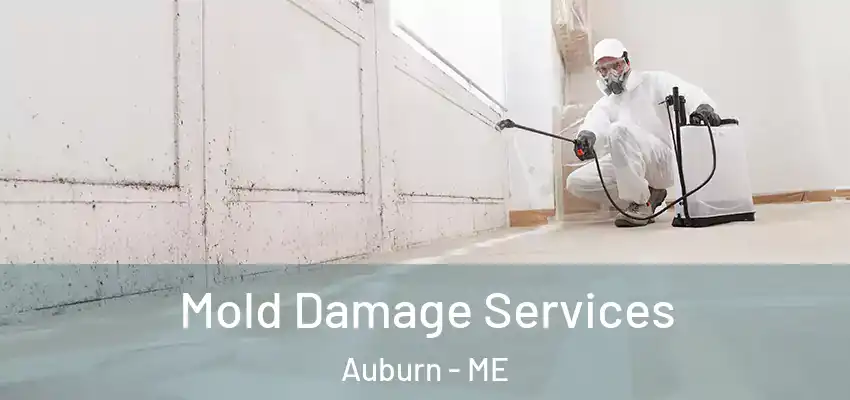  Mold Damage Services Auburn - ME