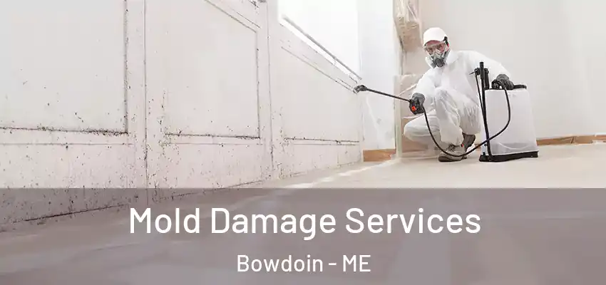  Mold Damage Services Bowdoin - ME
