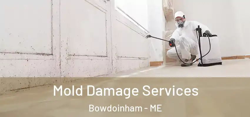  Mold Damage Services Bowdoinham - ME