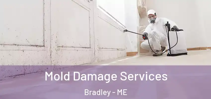  Mold Damage Services Bradley - ME