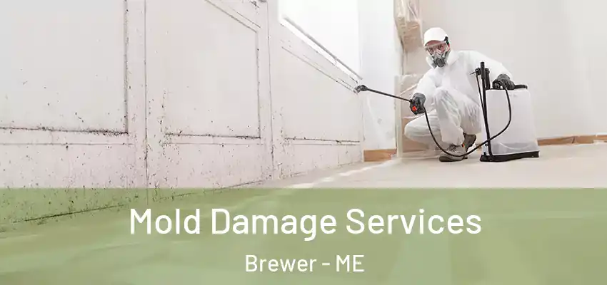  Mold Damage Services Brewer - ME