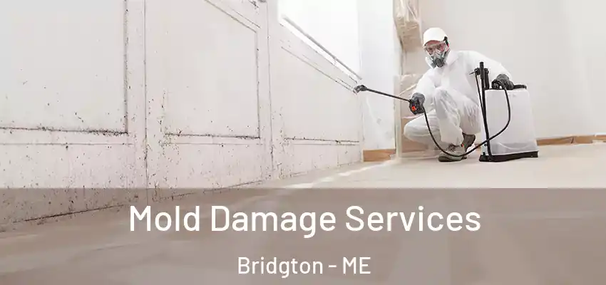  Mold Damage Services Bridgton - ME