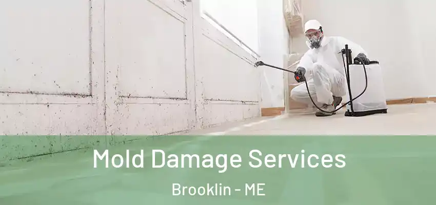  Mold Damage Services Brooklin - ME