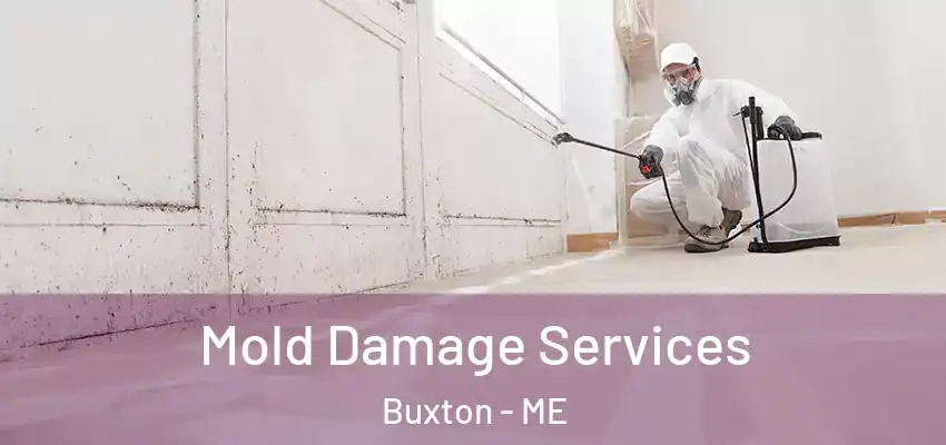  Mold Damage Services Buxton - ME