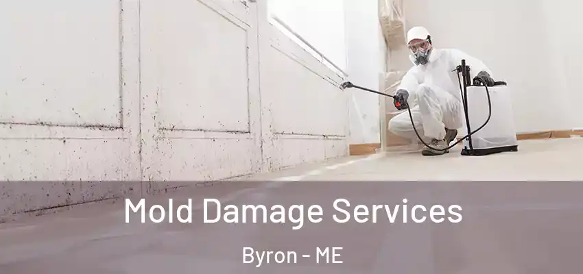 Mold Damage Services Byron - ME