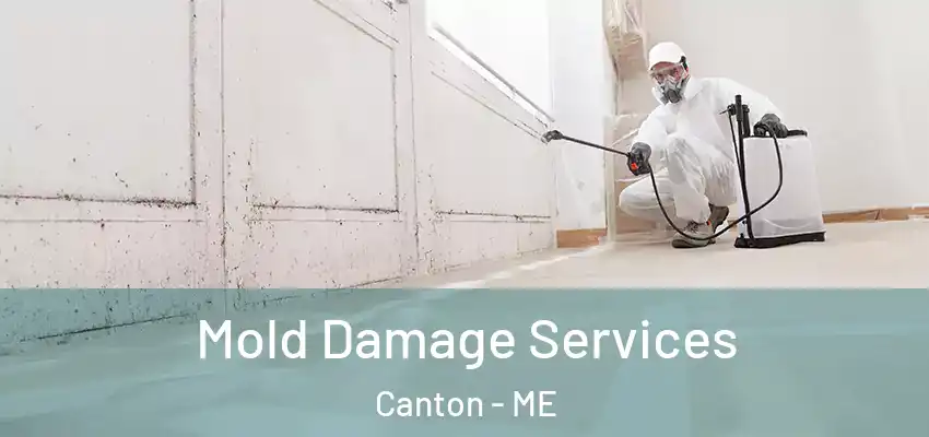  Mold Damage Services Canton - ME