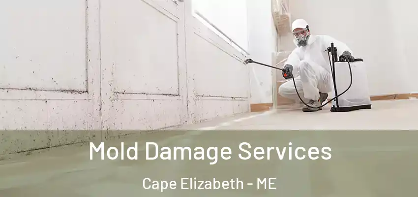  Mold Damage Services Cape Elizabeth - ME