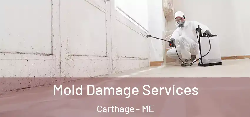  Mold Damage Services Carthage - ME