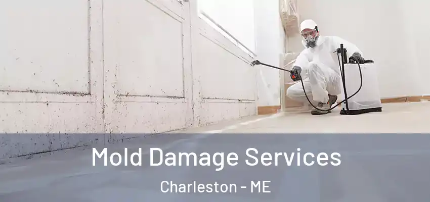  Mold Damage Services Charleston - ME