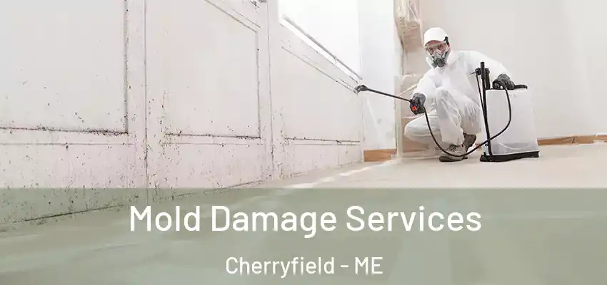  Mold Damage Services Cherryfield - ME